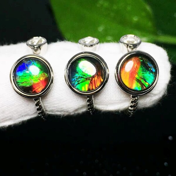 Pure Natural Ammolite Ring, Canadian Ammolite Ring, Ammolite/Ammonite Silver Ring, Natural Ammolite Gemstone, Three Color Ammolite Ring