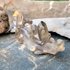 Madagascar natural smoky citrine cluster