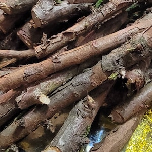 Juniper wood, Eastern red cedar, cedar sticks, real wood craft sticks, juniper sticks, cedar branches, juniper branches