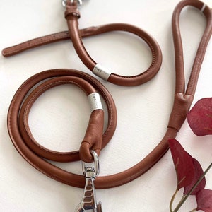 Set: Rolled Leather Dog Leash + Collar | High-Quality Leather | Soft & Stylish