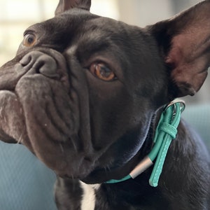Set: Mint Rolled Leather Dog Leash + Collar | Stylish & Comfy | Natural Soft Leather
