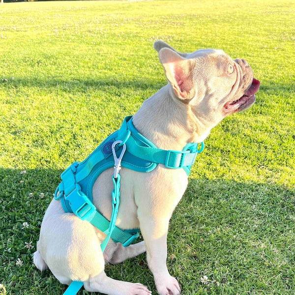 Dog Harness and Leash Set Etsy
