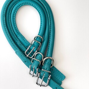Teal Rolled Leather Dog Collar + Customized Tag Dog ID