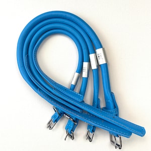 Blue Rolled Leather Dog Collar | Stylish Dog Collar