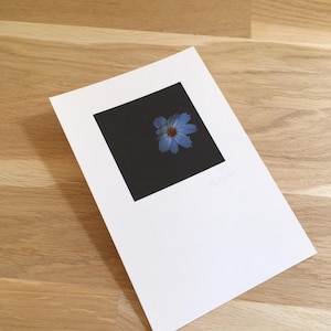 Stampa fotografica - Piccolo formato