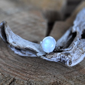 Moonstone Silver Ring - Size: 8 1/2