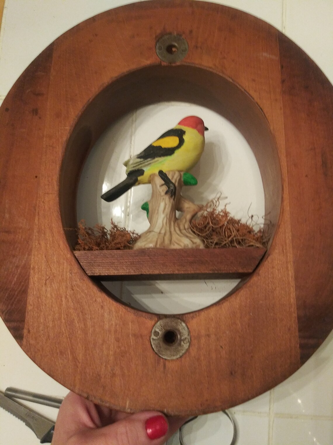 Vintage Porcelain Bird in Oval Shaped Solid Wood Frame. Wall Etsy