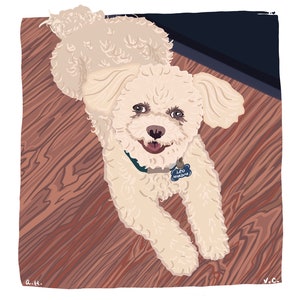 Pet illustrations