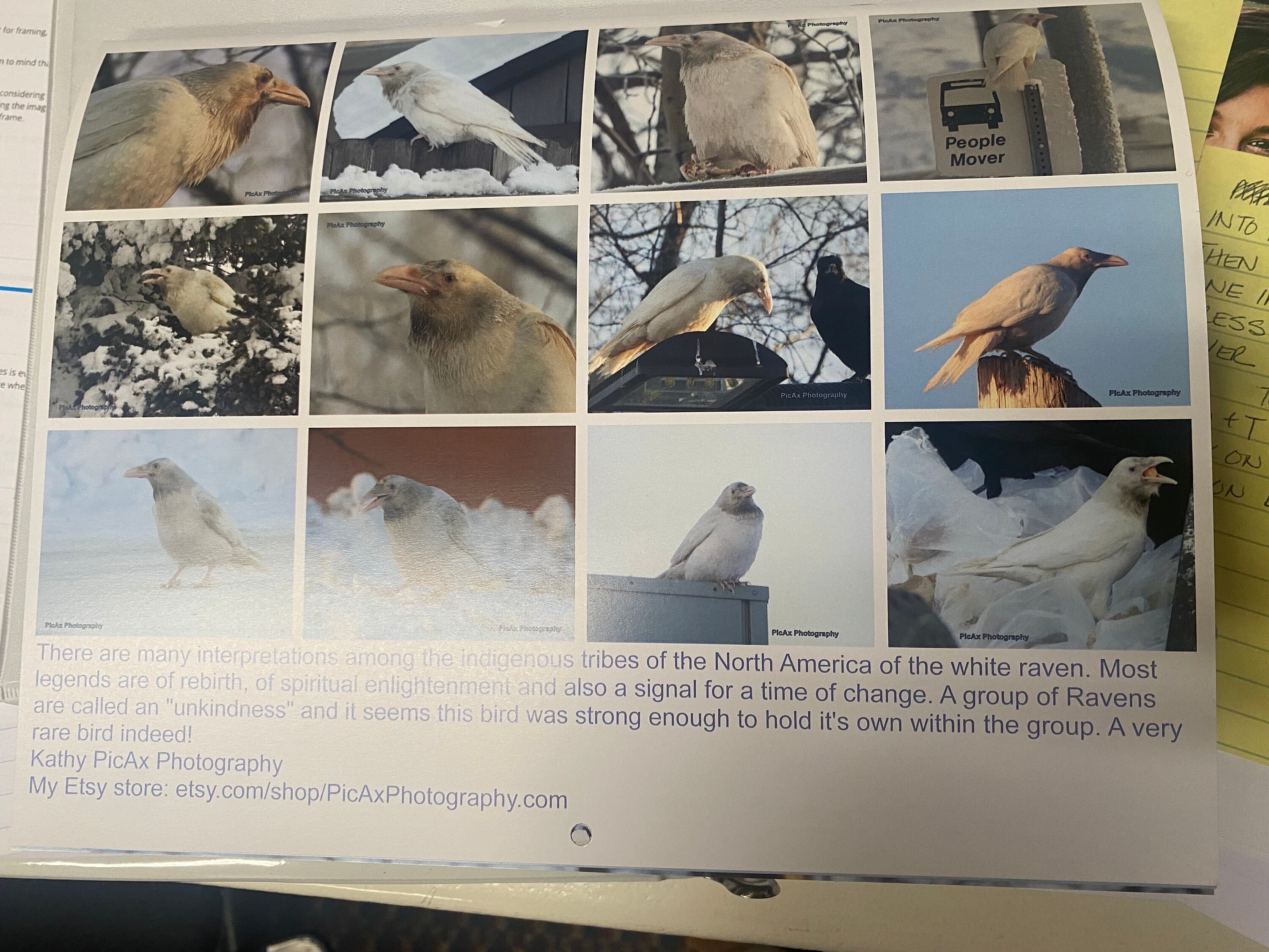 Spirit of the White Raven Calendar 2025 Etsy