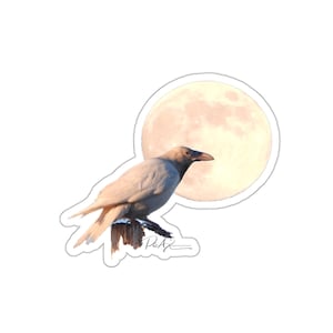 White Raven and the Full Wolf Moon