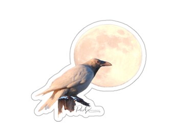 White Raven and the Full Wolf Moon