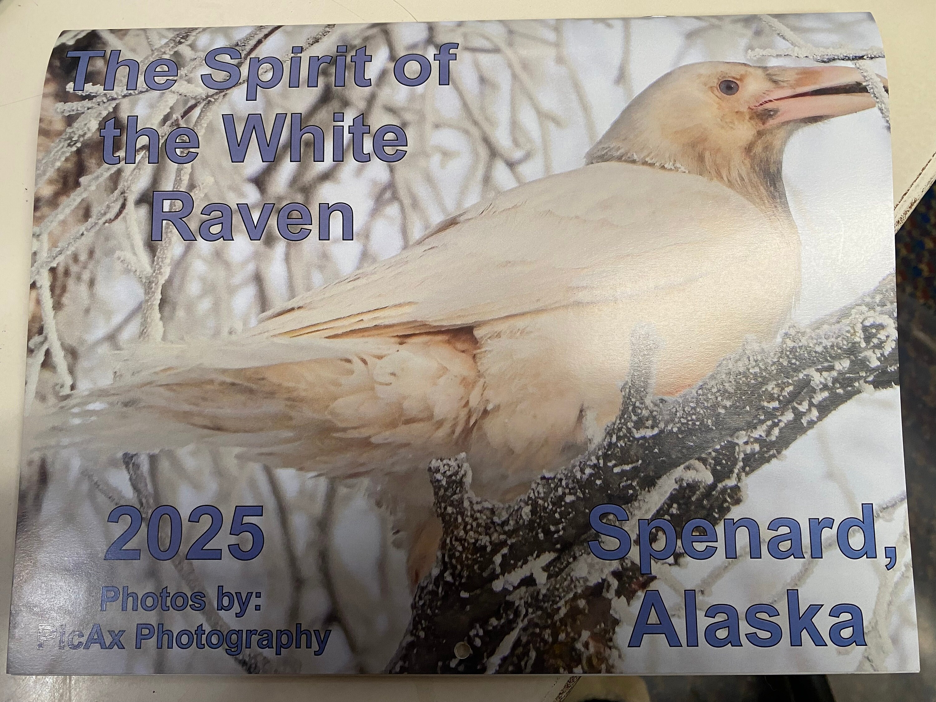 Spirit of the White Raven Calendar 2025, Alaska, White Raven, Raven