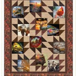 Quilting Renditions- Which Way