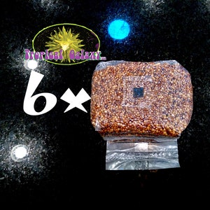 6x 4lb Sterilized Mushroom Grain Bags , 24lbs Total for Mushroom Spawn