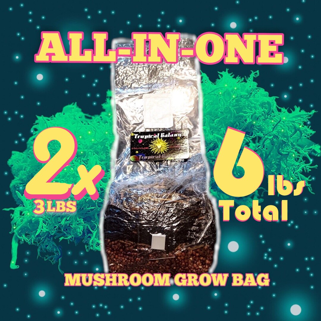 2x Allinone Mushroom Grow Bags, 6lbs Total, Sterilized Grain With