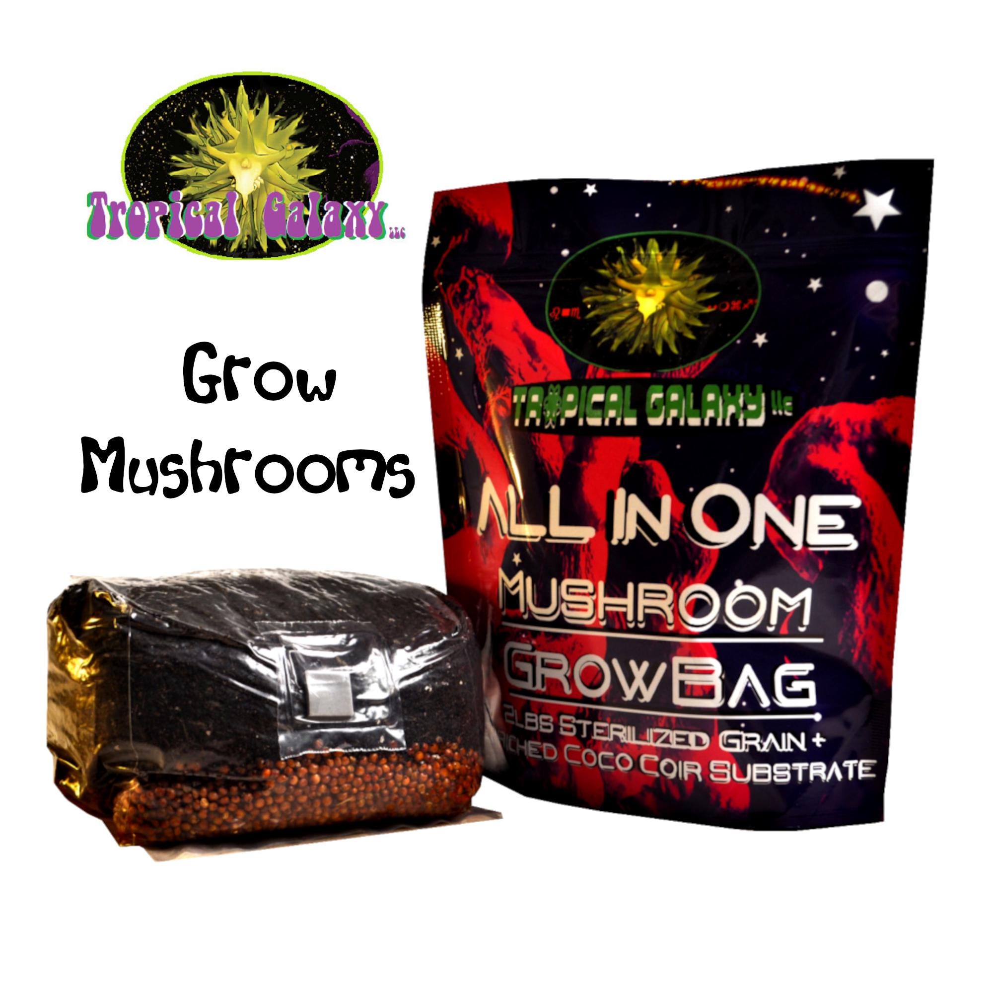 All-in-One Mushroom Grow Bag, (Everything But The Spores)