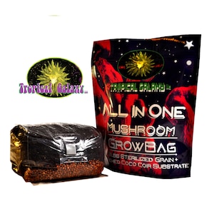 All-in-One Mushroom Grow Bag