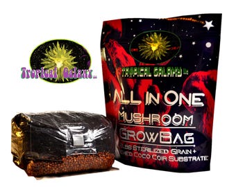 All-in-One Mushroom Grow Bag