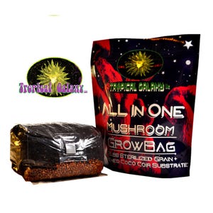 All-in-One Mushroom Grow Bag