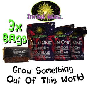 May include: Three bags of Tropical Galaxy All In One Mushroom Grow Bags. Each bag contains sterilized grain and coco coir substrate. The bags are black with a purple and pink design. The text on the bags reads "All In One Mushroom Grow Bag".