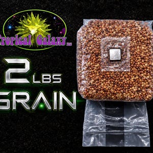 2lbs Sterilized Grain Mushroom Grow Bag, with Inoculation Port