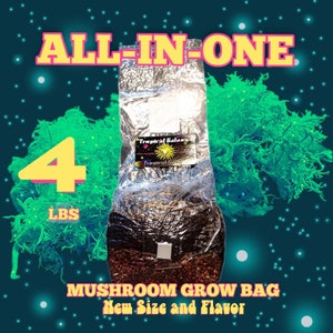4lb All-in-One Mushroom Grow Bag, New Size and Blend,(everything but the spores)