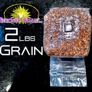 2lbs Sterilized Grain Mushroom Grow Bag, with Inoculation Port