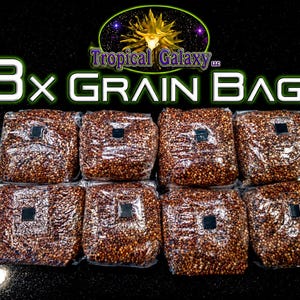 May include: Eight clear plastic bags filled with brown grain, each featuring a small black square filter patch. The text "Tropical Galaxy LLC" and "8x GRAIN BAGS" is displayed in white and green lettering above the arranged bags.