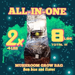2x4lb  All-in-One Mushroom Grow Bags, 8lbs Total, New SIZE and BLEND, (everything but the spores)