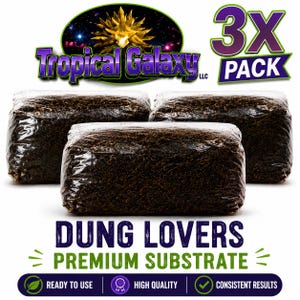 May include: A 3x pack of rectangular blocks of dark brown, fibrous organic substrate, each individually wrapped in clear plastic. The branding includes the text Tropical Galaxy LLC, 3X PACK, DUNG LOVERS PREMIUM SUBSTRATE, READY TO USE, HIGH QUALITY, and CONSISTENT RESULTS.