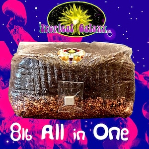 8lb All-in-One  Super Sized Mushroom Grow Bag