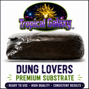 May include: A rectangular block of dark brown substrate encased in clear plastic packaging. Above the block is a logo with the text Tropical Galaxy LLC. Below the block is the text DUNG LOVERS PREMIUM SUBSTRATE and READY TO USE HIGH QUALITY CONSISTENT RESULTS.