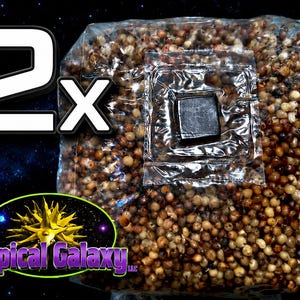 2x 2lb Sterilized Grain Bags