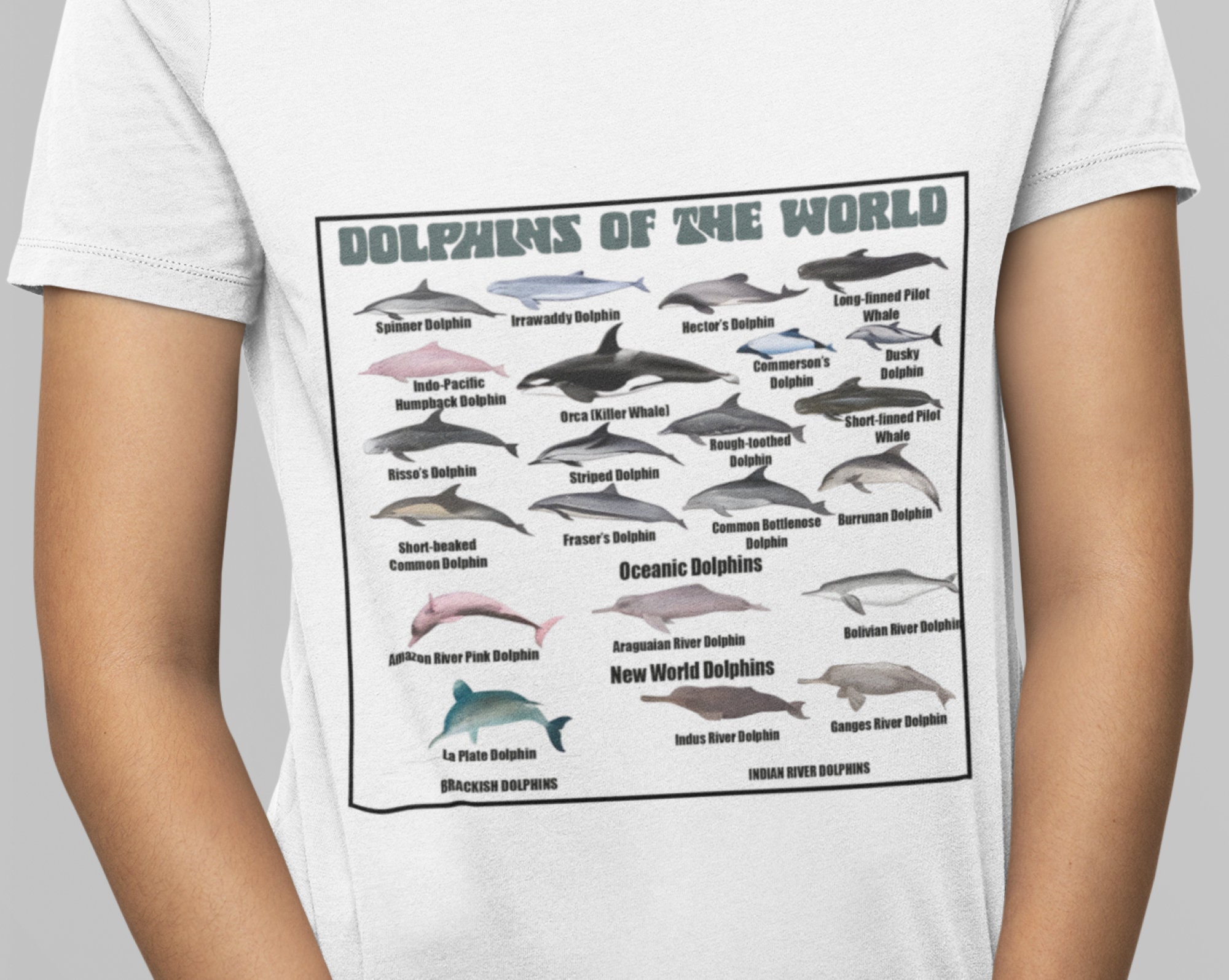 Whales of the World Shirt UK