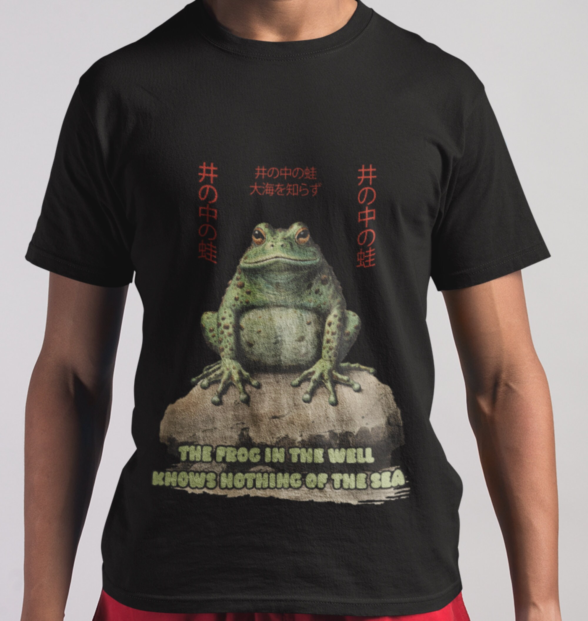 Grumpy Frog T-shirt: Japanese Proverb Kanji Wisdom - Etsy