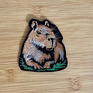 May include: Embroidered patch featuring a capybara, a large South American rodent. The patch has a black border, with the capybara in shades of brown and tan, and green grass at the bottom. This patch is suitable for jackets, bags, or other fabric items.