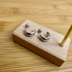 925 silver earrings