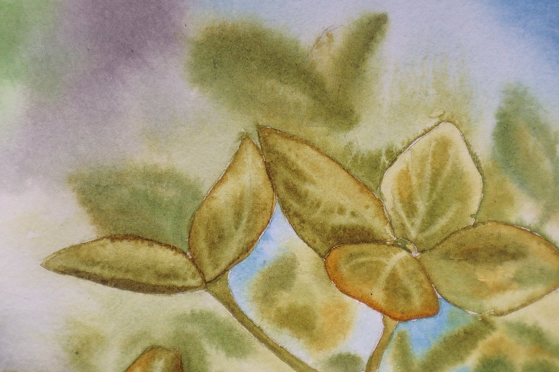 9x12 Original Watercolor Painting Green Hydrangea Flowers