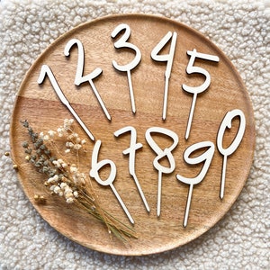 Cake topper numbers, birthday, wooden numbers, cake topper