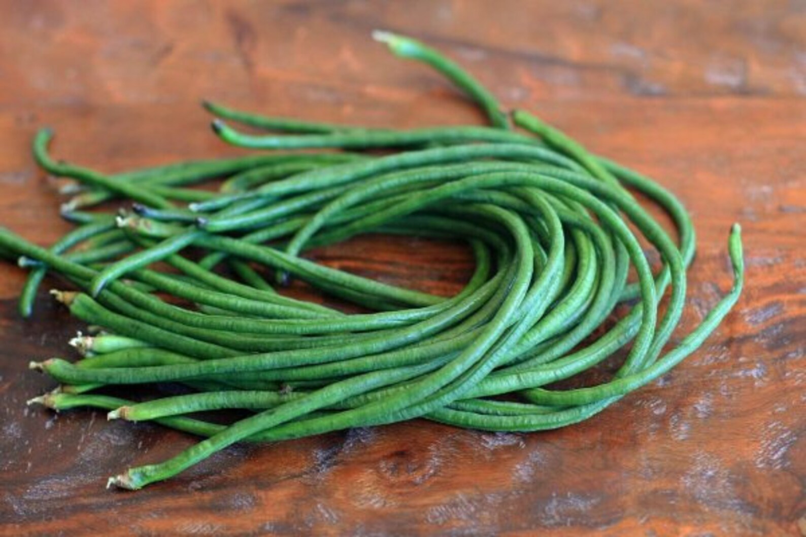 Dark Green Yard Long Bean Seeds Organic Non GMO Heirloom Etsy