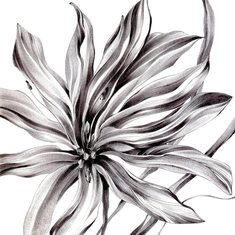 Framed Original Wall Art Flower Drawing Wall Decor Flower Etsy