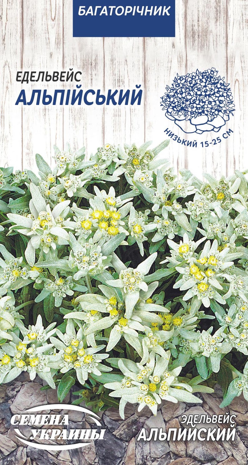 Edelweiss Flower Seeds for sale edelweiss flower seeds Natural Etsy
