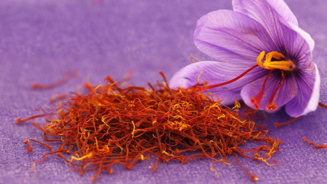 Saffron Bulbs Organic NonGmo 2021 Crocus Sativus Saffron Etsy