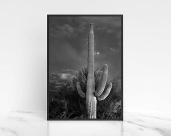 Great Horned Owl on Saguaro Cactus Photo, Black and White Desert Night Photography, Arizona Sonoran Desert Wall Art, Digital Download