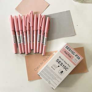 Pentel Arts Sign Pen Touch, Fude Pinselspitze, Box mit 10 Stück.