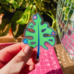 Monstera Blatt klar Aufkleber, wasserfester Vinyl Aufkleber, Monstera Aufkleber, Natur Aufkleber, Laptop Aufkleber, Wasserflasche Aufkleber