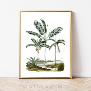 Vintage Palms | Palm Illustration, Vintage Art, Vintage Illustration, Palm Tree Art, Tropical Art, Botanical Art