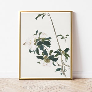 Flower in Bloom Vintage Art | Botanical Art, Flower Art, Plant Art, Vintage Botanical, Floral Art, Vintage Floral Art