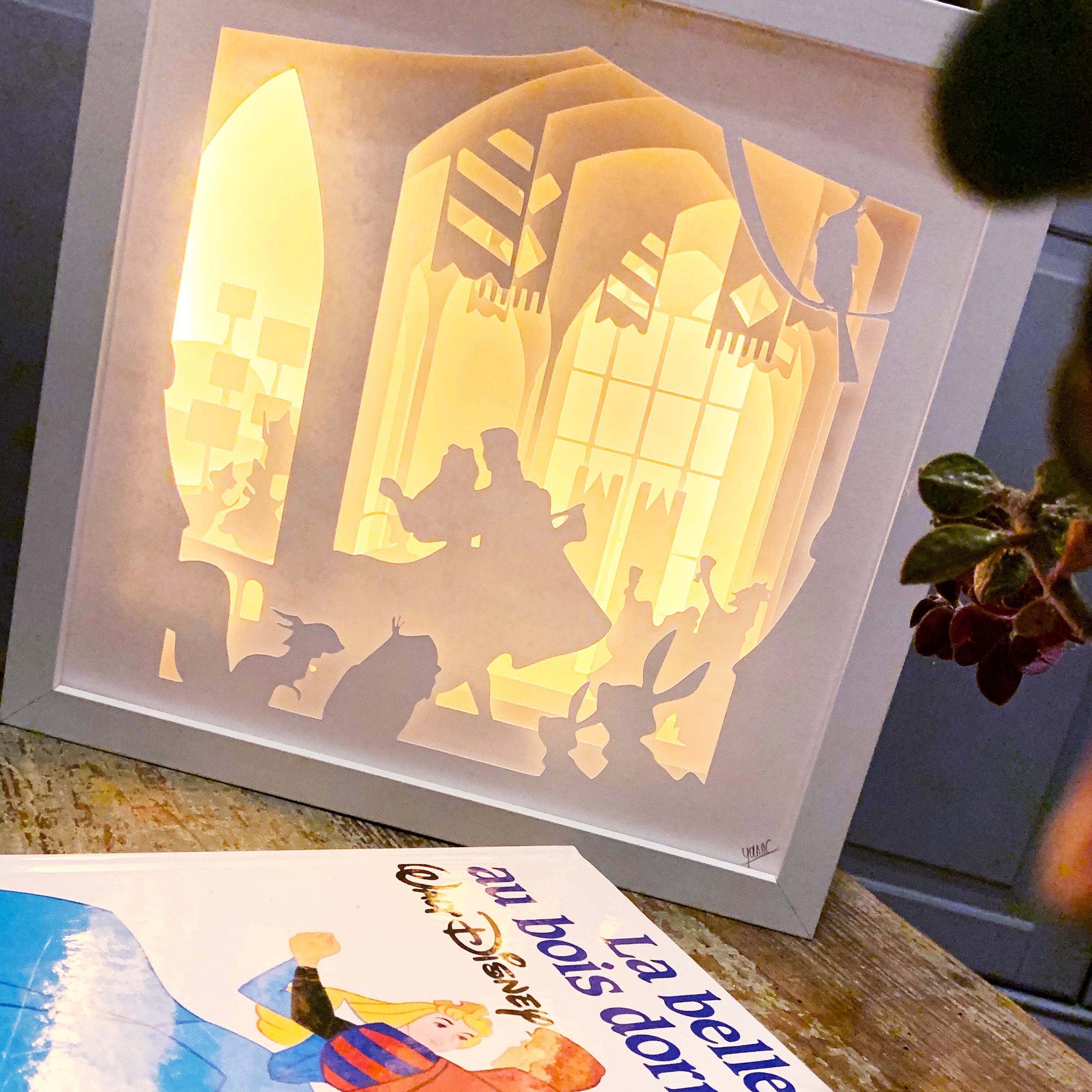 Cadre La Belle Au Bois Dormant