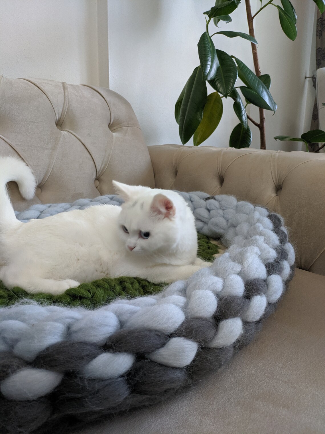 Giant Cat Bed Chunky Knit Cat Bed Size 65cm XXL Gift Cat Etsy